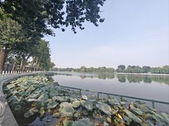-后海公园