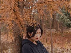 -昆山城市生态森林公园