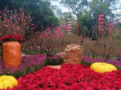 -广州市白云山风景名胜区