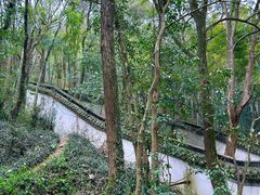 -上海佘山国家森林公园天马山园