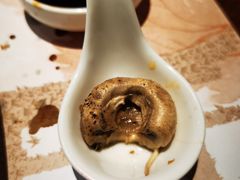-黑松白鹿(新活馆店)