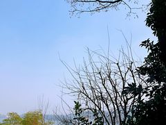 -天目湖涵田半山温泉