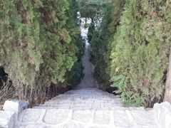 -龙口南山旅游景区