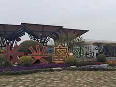 -上海长兴岛郊野公园