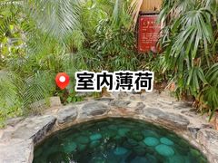 -中家鑫园温泉酒店鑫悦汤泉