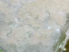 -海晖酒楼·顺德鱼生(荣华店)