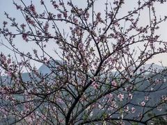 -龙潭生态旅游度假区