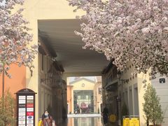 -星巴克(天津佛罗伦萨小镇店)