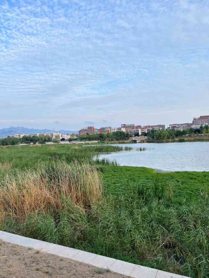 白沙河运动公园-"之前来过几次白沙河,但是都是秋天和大夏天.