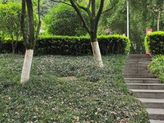 -龙头寺公园