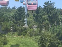 -摩天岭风景区