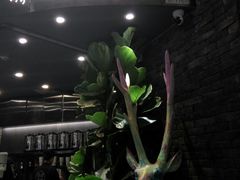 门面-茶理宜世(东方宝泰店)