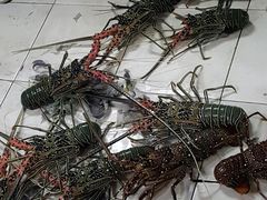 -香港厨房