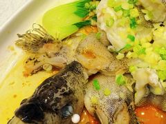 -欢乐海岸美食联盟