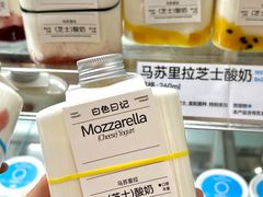 -白色日记·手作酸奶(麦凯乐店)