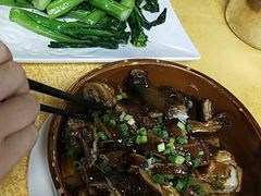 -鸽王世家(东华东路店)