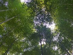 -苏州环秀晓筑养生度假村