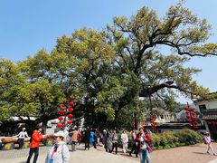 -新安江山水画廊风景区