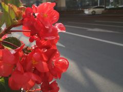 -中国福利会少年宫