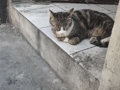 -上海鲁迅故居