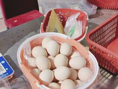 -大自然农场蔬菜草莓采摘园