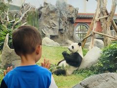 -香港皇家太平洋酒店
