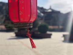 -龙口南山旅游景区