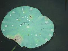 -青龙湖公园