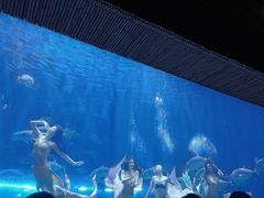 -华夏文旅西安度假区