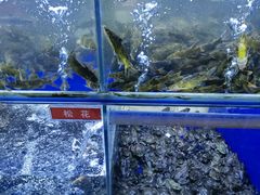 -石锅苗苗鱼(武汉首店)