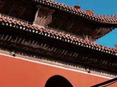 -北陵公园