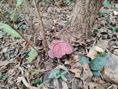 -南山风景名胜区