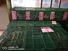 -荔城生鲜盛宴(番禺旗舰店)