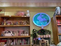 -宠物兔专门店(天丰利市场店)