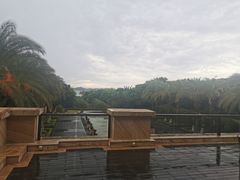 -康莱德酒店·望海阁大堂吧