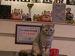 -Doors独立剧情密室(东门分店)