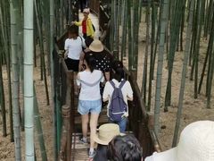 -陶祖圣境风景区