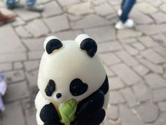 -都江堰中华大熊猫苑