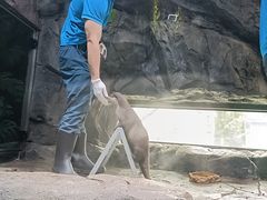 -海合安成都极地海洋公园