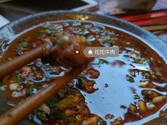 -镇江龙·火锅串串(武侯祠店)