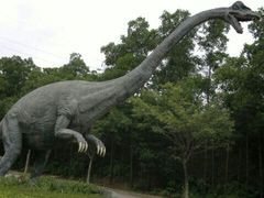 android_upload_pic-河源客天下-温泉小镇