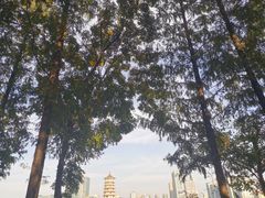 -食膳公园包子铺(烈士公园店)