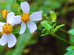 -灵玲国际马戏城