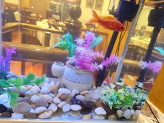 -鹿港小镇经典老上海菜(长乐路店)