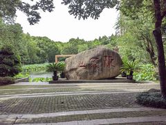 -陈家山荷花公园