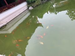 -祝家花園(伯渎港店)
