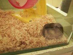 -龙猫仔乐园(惠福东路店)