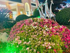 -百联奥特莱斯广场(武汉盘龙店)