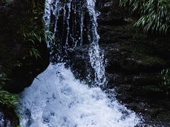-瓦屋山景区