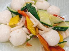 -丁老爷子苏香圆
